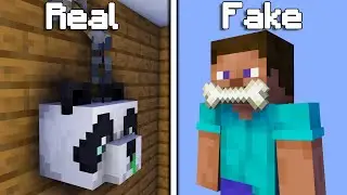 13 Minecraft Facts! (Hindi)