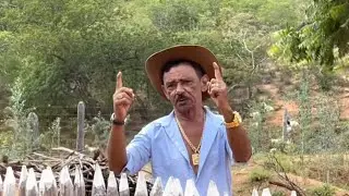 O CACHORRO DE LOPIM CONFUNDE TIRINGA COM UM GAMBÁ ￼ 😂 | COMÉDIA SELVAGEM
