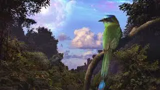 benyamind - Edge of the Forest