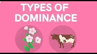 TYPE OF DOMINANCE, explained better | grade 12 life sciences | M.SAIDI  ThunderEDUC.