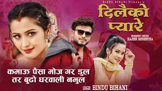Dilaiko Pyare दिलैको प्यारे - Bindu Bihani • Anjalai Adhikari • Kajish Shrestha • New Song 2081