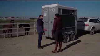 Todocaballo-Delirio de Millán-Primera monta