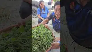 Kinamatisang kalabaw na may himbabao ngayon ko lang natikman | PAGKAING BUKID |Team AgustinTV