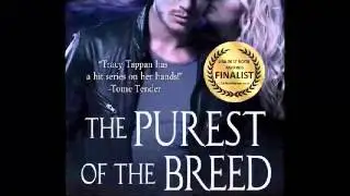 IPPY Award - Community Trailer