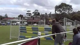 DvZ Funtimes - Albany Show 2010 105cm Jump Off