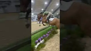 under the lights 😋 #equestrian #horse #equitation #showjumping #horseshow #hunterjumper #horses