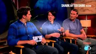 shark week 2015 shark after dark night 2 720p