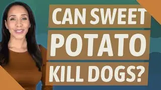 Can sweet potato kill dogs?