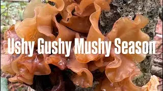Ushy Gushy Mushy Season: Squishy Squelchy Mushroom ASMR