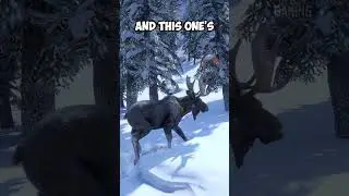 RDR2 - 5 редких нелегендарных животных в RDR2 Часть 2 #rdr2 #gaming #arthurmorgan #rdo