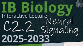 IB Biology C2.2 - Neural Signaling [SL/HL] - Interactive Lecture 2025-2033