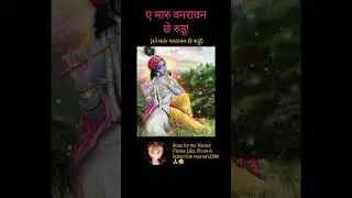 Ae Maru Vanravan Che Rudu | Raas Dandiya | #krishna #vrindavan #vaikuntha