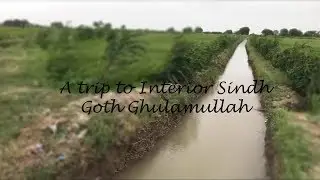 A Trip To Interior Sindh - Beauty of pakistan - Vlog 2