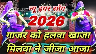 🥕गाजर को हलवा खाजा मिलवा ने जीजा आजा 💥| New Year Special Meena Song 2026 | Rajasthani Viral Song