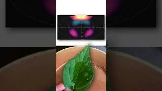 Из чего сделан звук ДОЖДЯ на самом деле  #sounddesign #эксперимент #asmr #ambisonics  #искусство