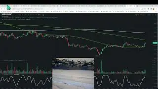 Dogecoin Mon 6am