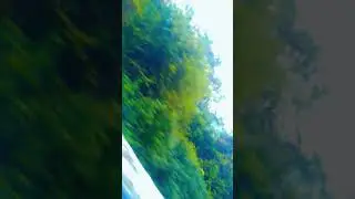 kodaikanal Hill station / Video / Janu's house.