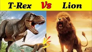 T-rex vs lion:A prehistoric feast