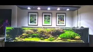 River tank 2/2