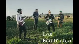 Los Mandriles - Indio Bolsero