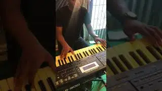first time playing Roland E 300 (Zweli 🎹)