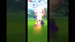 Catching Shadow Hitmonchan #short #pokemongo