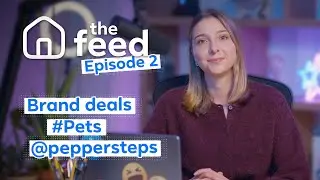 November Creator Roundup: Content Protection, Brand Deals & Advice from @peppersteps | The Feed