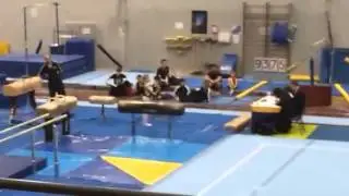 National gymnastics level 4 pommel and mushroom routine Dar
