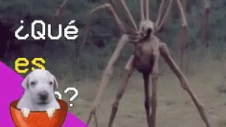 Huntleo reacciona a 