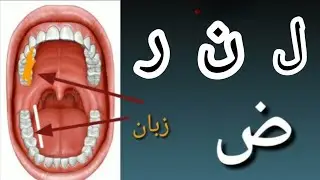 Classification and Meaning of Haroof-e-Haifah & Haroof-e-Tarafiyah