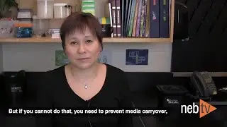 Quick Tips - Preventing sorting carryover for the NEBNext Single Cell/Low Input RNA Kit
