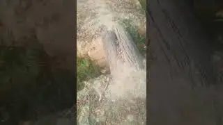 village life #like #subscribe