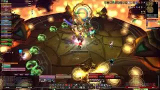 Elementarw&auml;chter VS Imperial Vizier Zor'lok 25 heroic (Warrior Tank Pov)