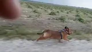 SuperCiccio