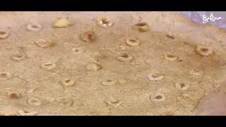 هريسة بجوز الهند | توتا مراد