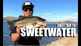First Trip To Sweetwater Reservoir | San Diego Fishing