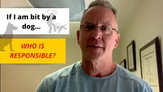 Dog Owner Liability