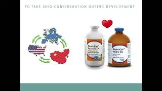 Marta Noguera - Why and how to develop a new PPV vaccine?