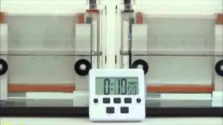 自作ミニゲルの電気泳動が約20分！従来Laemmli泳動バッファーとの比較