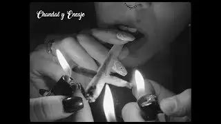 Chandal y Encaje - IRA (Raissa ft. Elvirus) VIDEOCLIP
