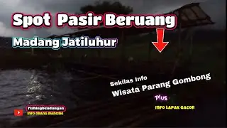 Spot pasir beruang madang jatiluhur plus lapak gacor