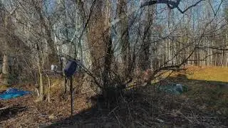 BEFORE & AFTER: Large Tree & Brush Clearing Project In Loudoun County