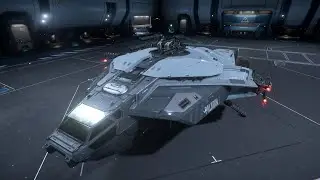 STAR CITIZEN 4.3.2 LIVE - PALADIN