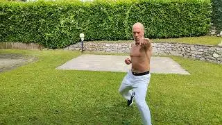 Kung fu Shaolin : 2° Po chi ti ehr Lu ( eseguito anche a specchio. 2024 )
