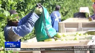 Devastating rain impacts South Africa's agriculture sector
