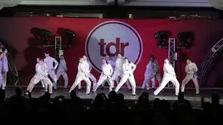 Weapon of choice  | The Dance Challenge | D'ansa jazz stage chihuahua