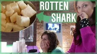 WE ATE WHAT?! Disgusting Food Museum | Hakarl