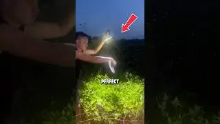 This Mosquito Trap Is Insanely Effective! 😳