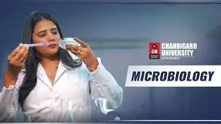 Step into the world of microbes with the B.Sc. (Hons.) Microbiology program at CU Uttar Pradesh