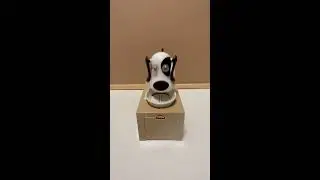 LETS PLAY CUTE COIN EATING DOG ASMR #shortlive #shortfeed #satisfying